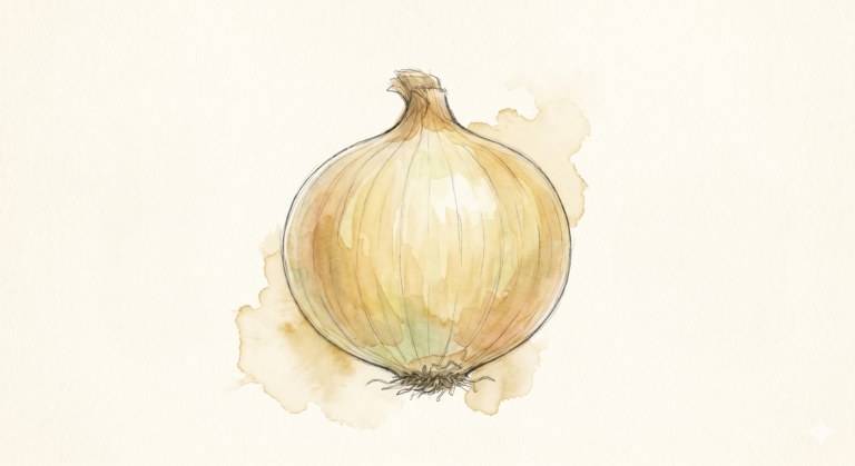 Vidalia Onions: The Only American Onion With a Federal Appellation