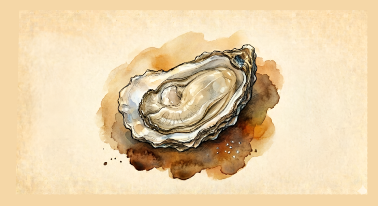 Gulf and Eastern oyster guide